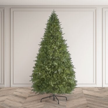 Eaton Fir Christmas Tree