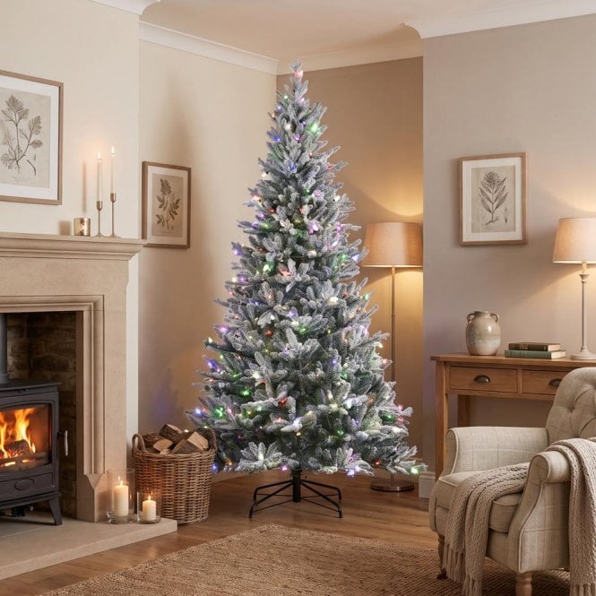 BOSK Frosted Dalton Fir 6.5ft Christmas Tree with Warm White/Multi Colour LEDs