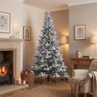 Frosted Dalton Fir 6.5ft Christmas Tree with Warm White/Multi Colour LEDs