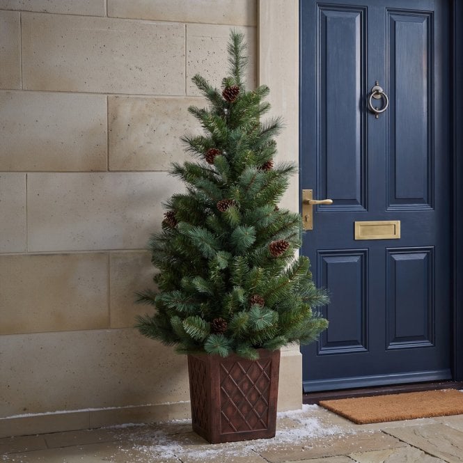 BOSK Hazelnut Pine Porch Tree