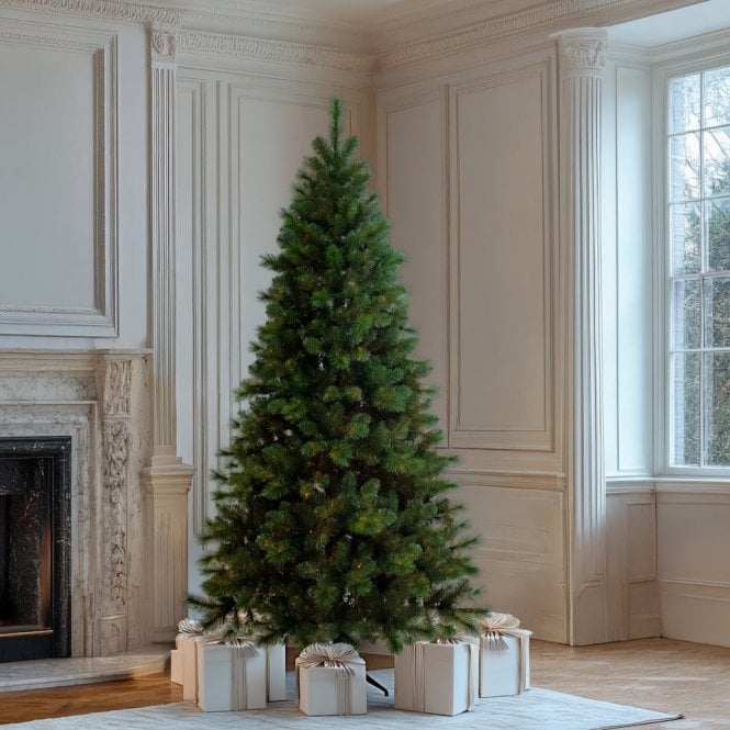 BOSK Kingsley Fir Christmas Tree