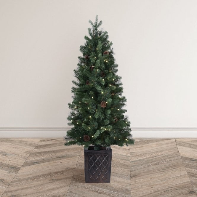BOSK Walnut Pine 4.5ft Bristle Tree With Warm White LEDs