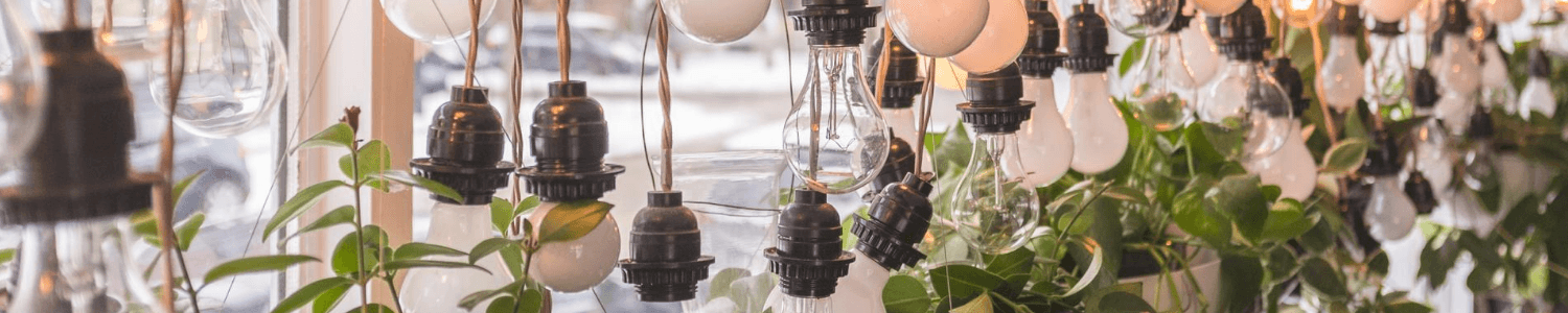 How to get electricity into your home garden