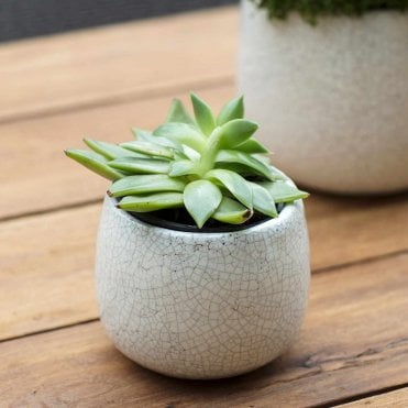 Ravello Pot - Small