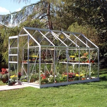 Popular Greenhouse 6X10