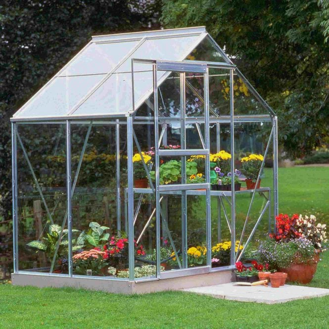 Halls Popular Greenhouse 6X4