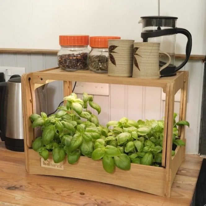 Harvst H-Mini Countertop Indoor Greenhouse