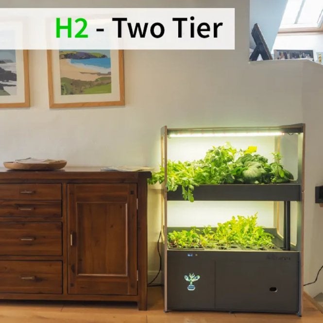 Harvst H-Series H2 Indoor Garden