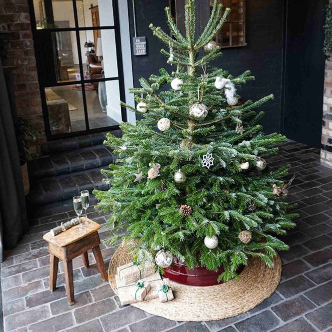 Ivyline Water Hyacinth Christmas Tree Mat