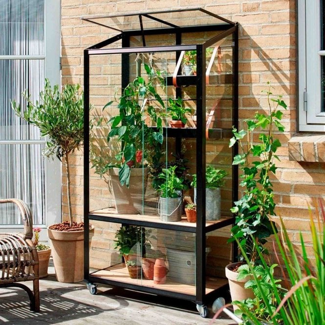 Juliana City Greenhouse