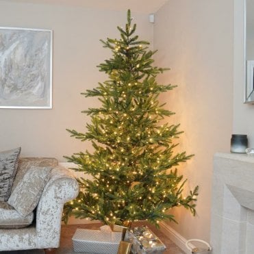 7' Nordman Fir Pre Lit Tree - 420 WW LED
