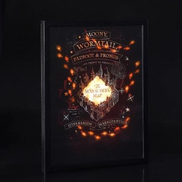 Harry Potter™ 52cm Marauders Map LED Canvas