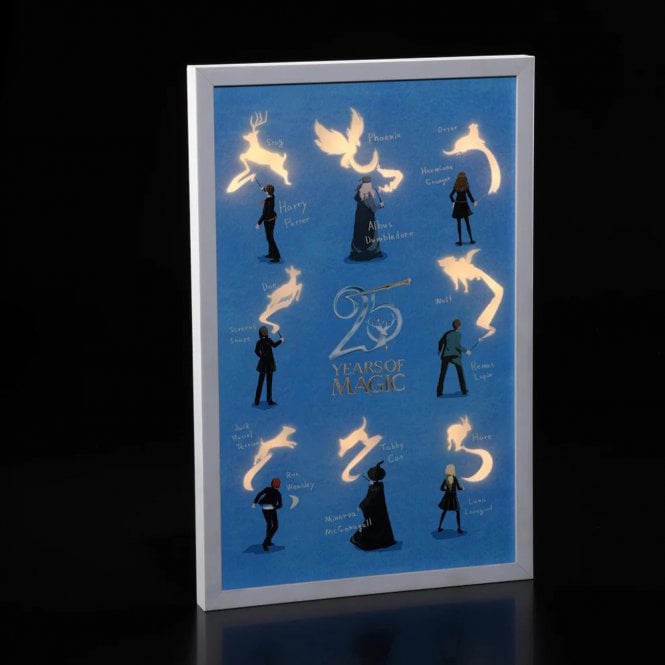 Noma Harry Potter™ 54cm 25 Years Of Magic LED Canvas
