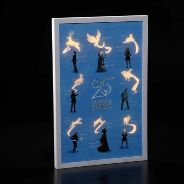 Harry Potter™ 54cm 25 Years Of Magic LED Canvas