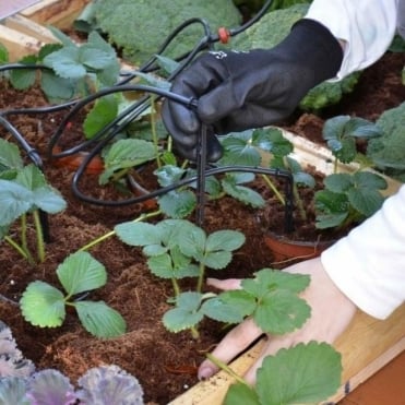 Irrigation Kit