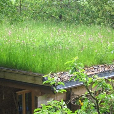 Garden Roof Wildflower Turf - 1m² Rolls x 80