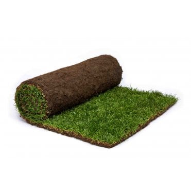 Medallion® Turf - 1m² Rolls x 20