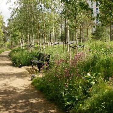 Shade Tolerant Wildflower Turf - 1m² Rolls x 30