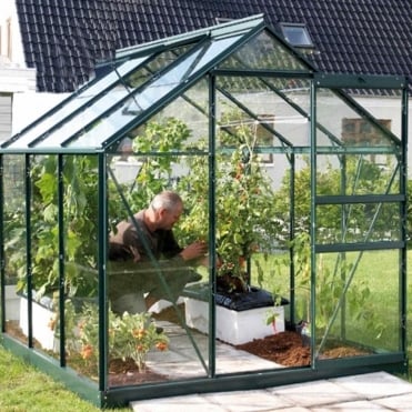 Venus Green Framed Greenhouse 6X6