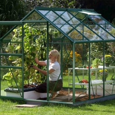 Venus Green Framed Greenhouse 6X8
