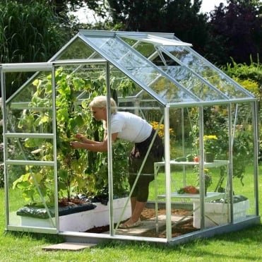Venus Silver Framed Greenhouse 6X6