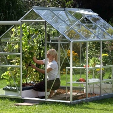 Venus Silver Framed Greenhouse 6X8